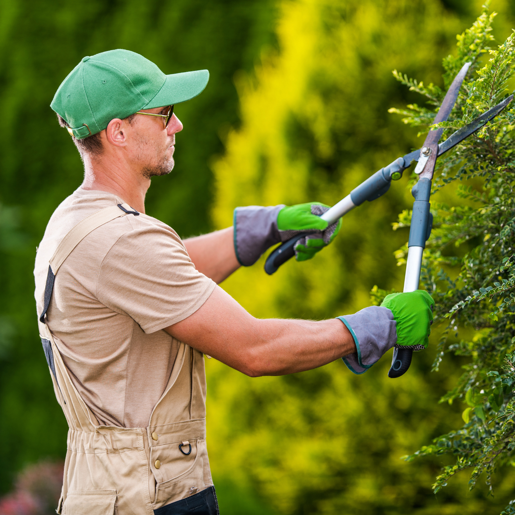 garden maintenance